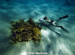 Underwater filming. by Gosia Nowodyla 